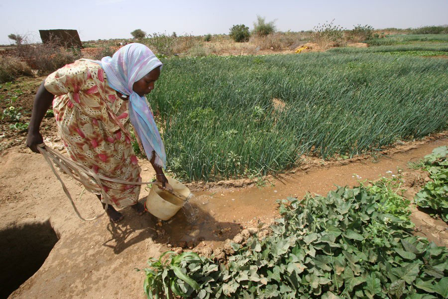Haweenay waraabinaysa dalag Kabkabiya, Daarfuur Waqooyi, 2006